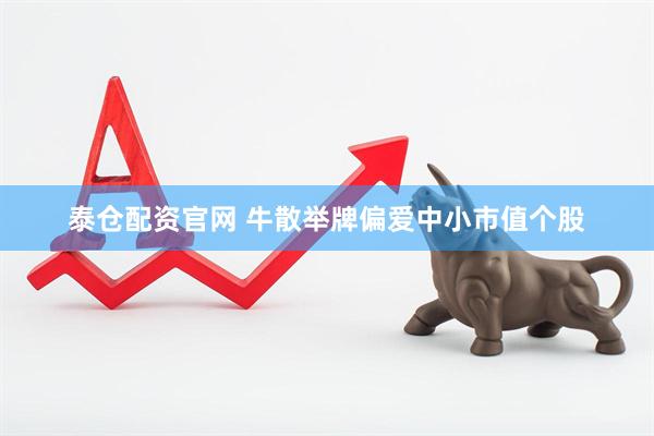泰仓配资官网 牛散举牌偏爱中小市值个股