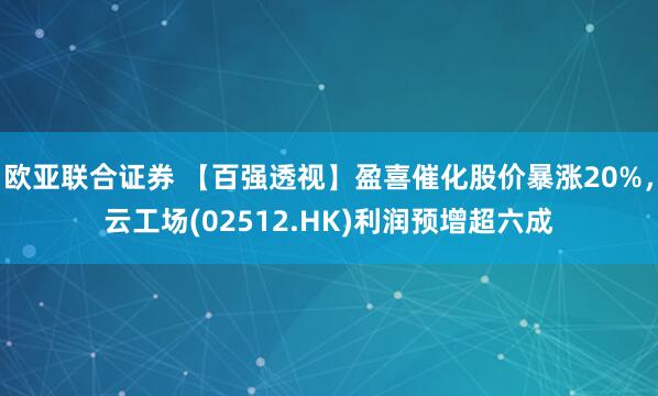 欧亚联合证券 【百强透视】盈喜催化股价暴涨20%，云工场(02512.HK)利润预增超六成